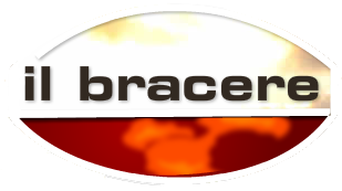 Logo Bracere